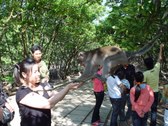 Enlarge photo 12