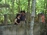 Enlarge photo 15