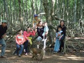 Enlarge photo 19