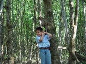 Enlarge photo 21