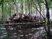 Enlarge photo 24