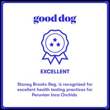 Certificate's We Have