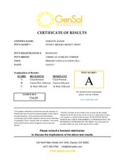 Enlarge PDF 4