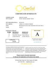 Enlarge PDF 2