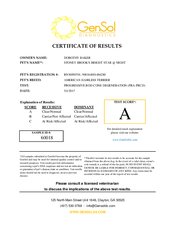 Enlarge PDF 6