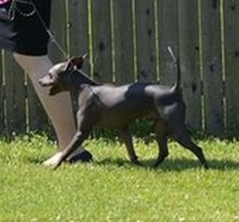 Monty    (RETIRED)