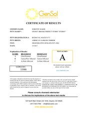 Enlarge PDF 15