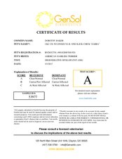 Enlarge PDF 14
