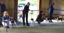 Enlarge photo 8