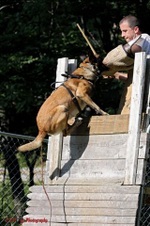 Training photos