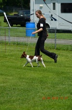 Enlarge photo 12