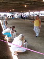 Enlarge photo 13