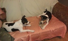 Enlarge photo 11