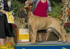 Enlarge photo 46