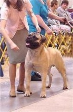 Enlarge photo 23