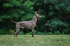 Stoney Brooks Lord of War