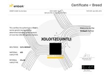 Enlarge PDF 6