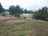 Babe Course #17