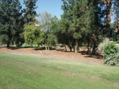 Ike Course #10