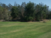 Ike Course #18