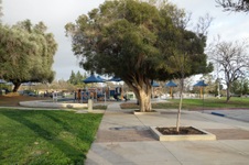 Enlarge photo 11