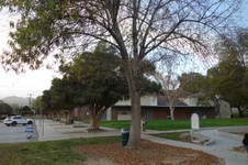 Enlarge photo 14
