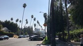 Alexandria & 4th
