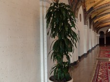 Enlarge photo 5