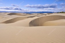 DESERT - OCEAN BEACH