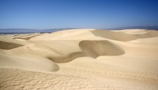 Pismo State Beach & Oceano Dunes 