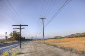 Gravel Road wi/ Farm Fields & Tel. Poles