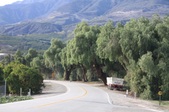 Old Telegraph Road - Country Road