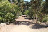 Cedar Grove