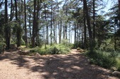 Enlarge photo 17