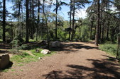 Enlarge photo 24