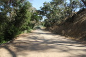 Elysian Arboretum Trail