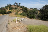 Elysiasn Fields