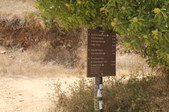Enlarge photo 1
