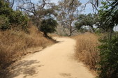 Fern Canyon Trail