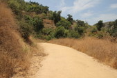 Enlarge photo 16