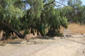 Grand View Trail