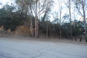 Enlarge photo 1