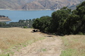 Enlarge photo 15