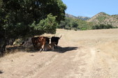 Enlarge photo 20