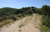 Enlarge photo 12