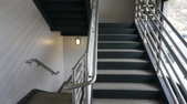 Ozone Basement / Stairs
