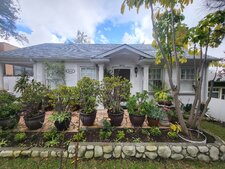 Elvie’s Cottage
