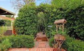 Enlarge photo 22