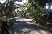 Enlarge photo 1