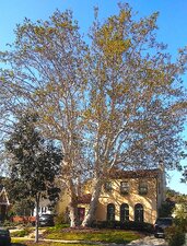 SPANISH HOUSES